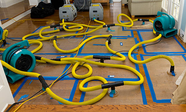 Professional Basement Flood Cleanup technician working in Elmwood, LA